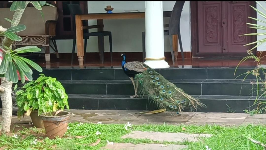 Angels' Homestay Marari Mararikulam Exterior foto