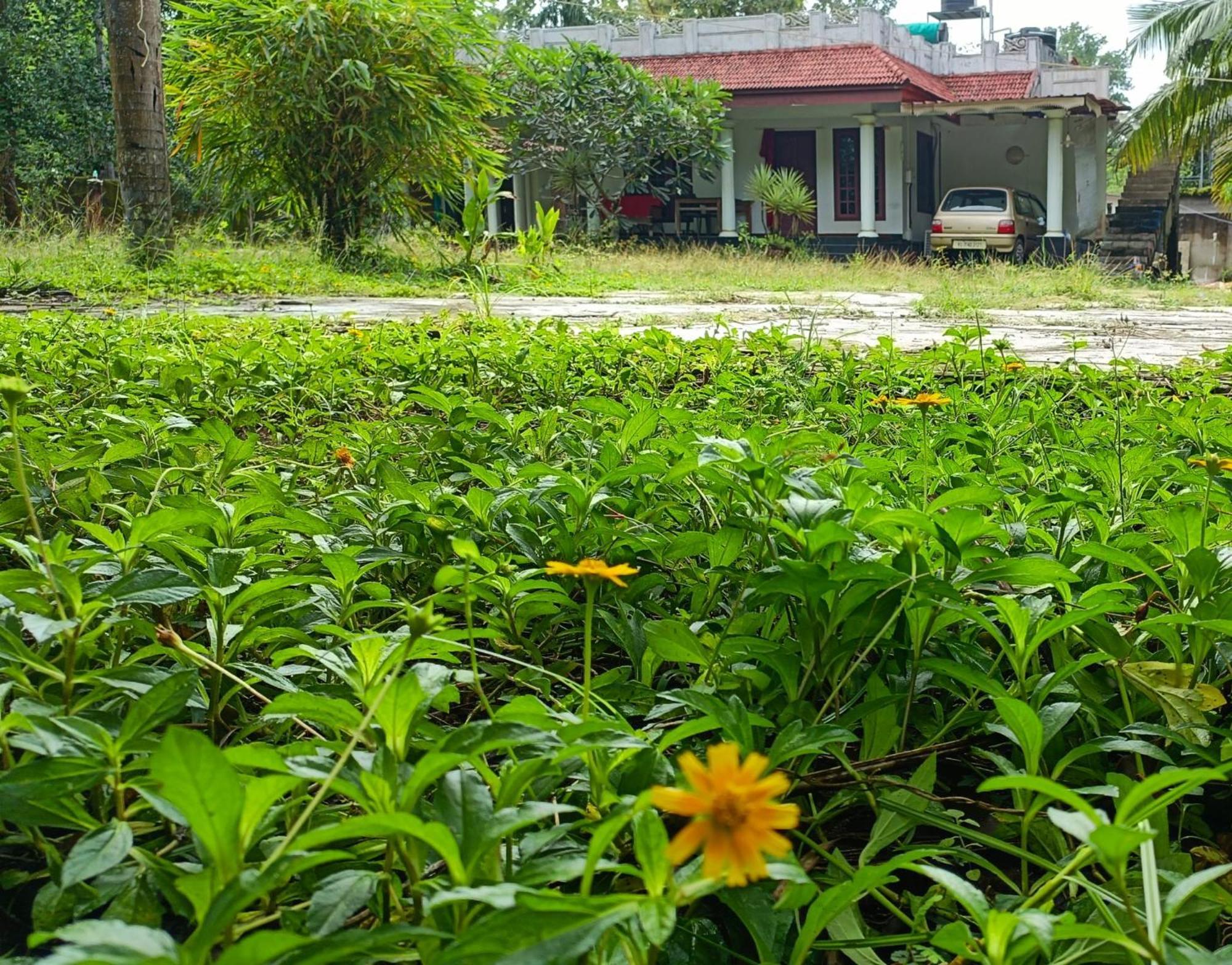 Angels' Homestay Marari Mararikulam Exterior foto