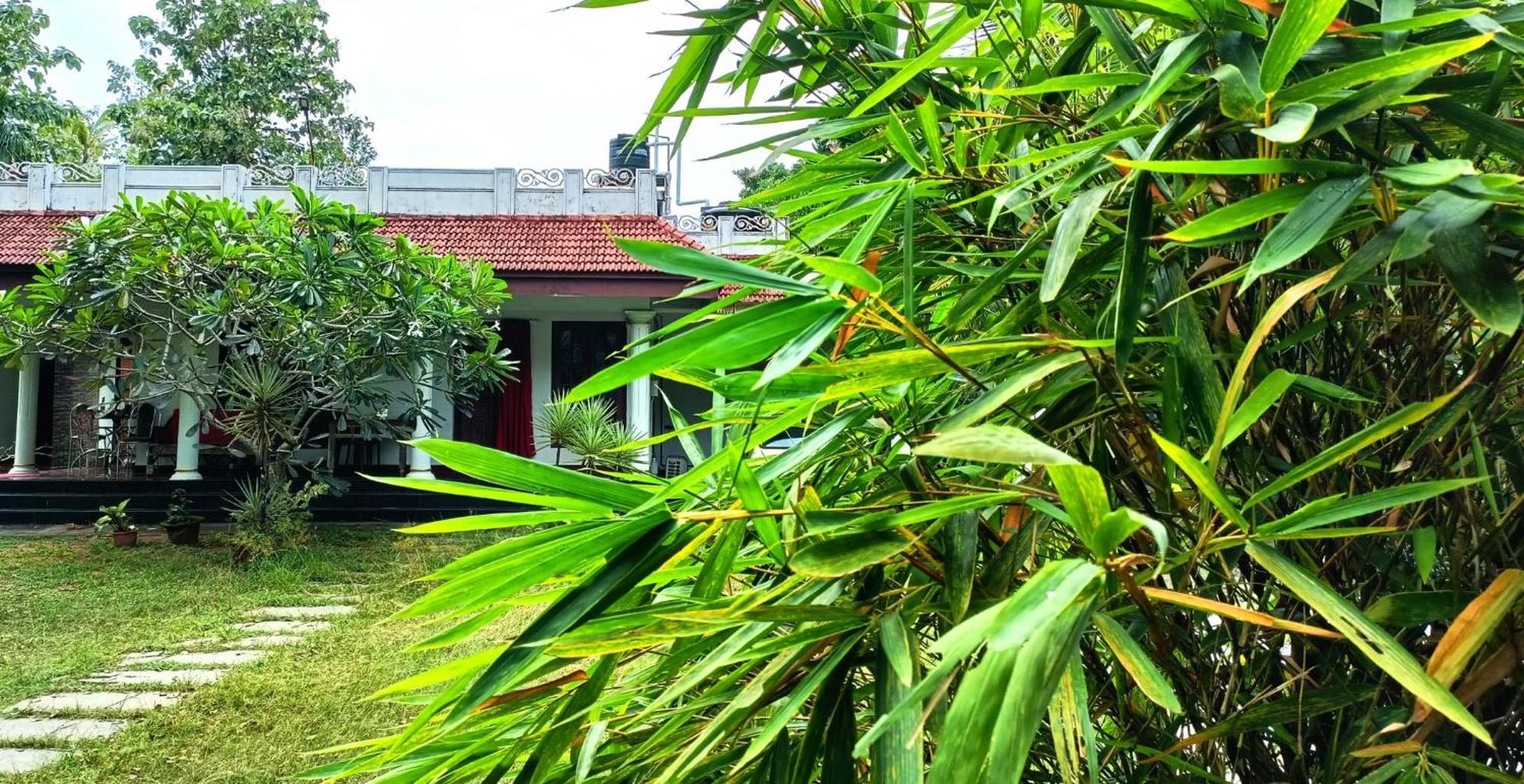 Angels' Homestay Marari Mararikulam Exterior foto