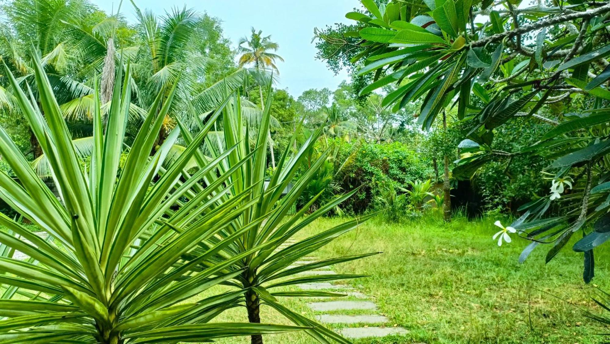 Angels' Homestay Marari Mararikulam Exterior foto