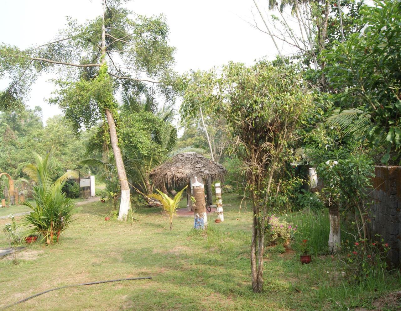 Angels' Homestay Marari Mararikulam Exterior foto